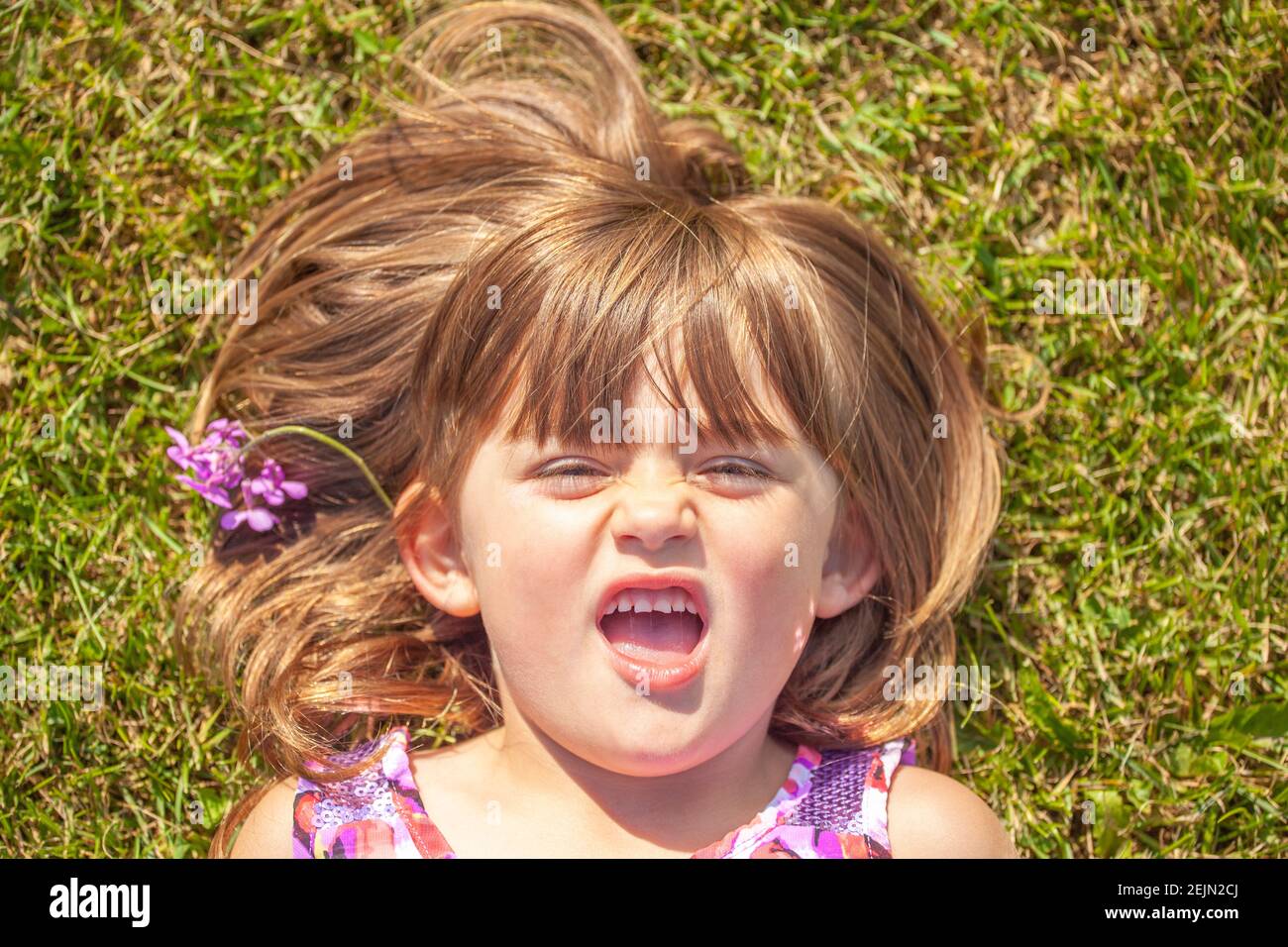 Defiant Flower Girl throws tantrum lying in a meadow outside with attitude gives parents a hard time and is grumpy and uncooperative because she does Stock Photo