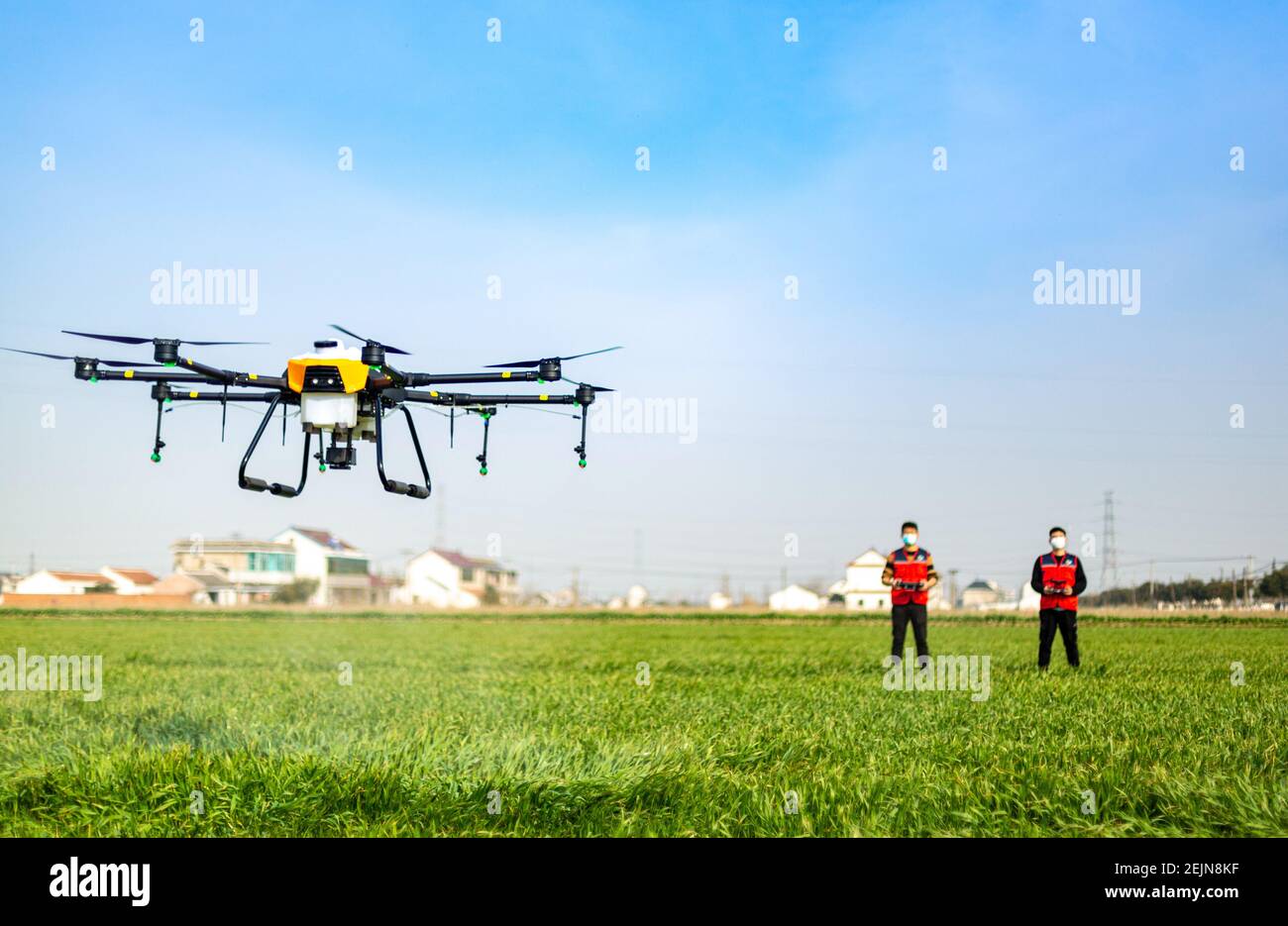 A drone is remote-controlled to crop-dust a wheat field in Fengchan ...