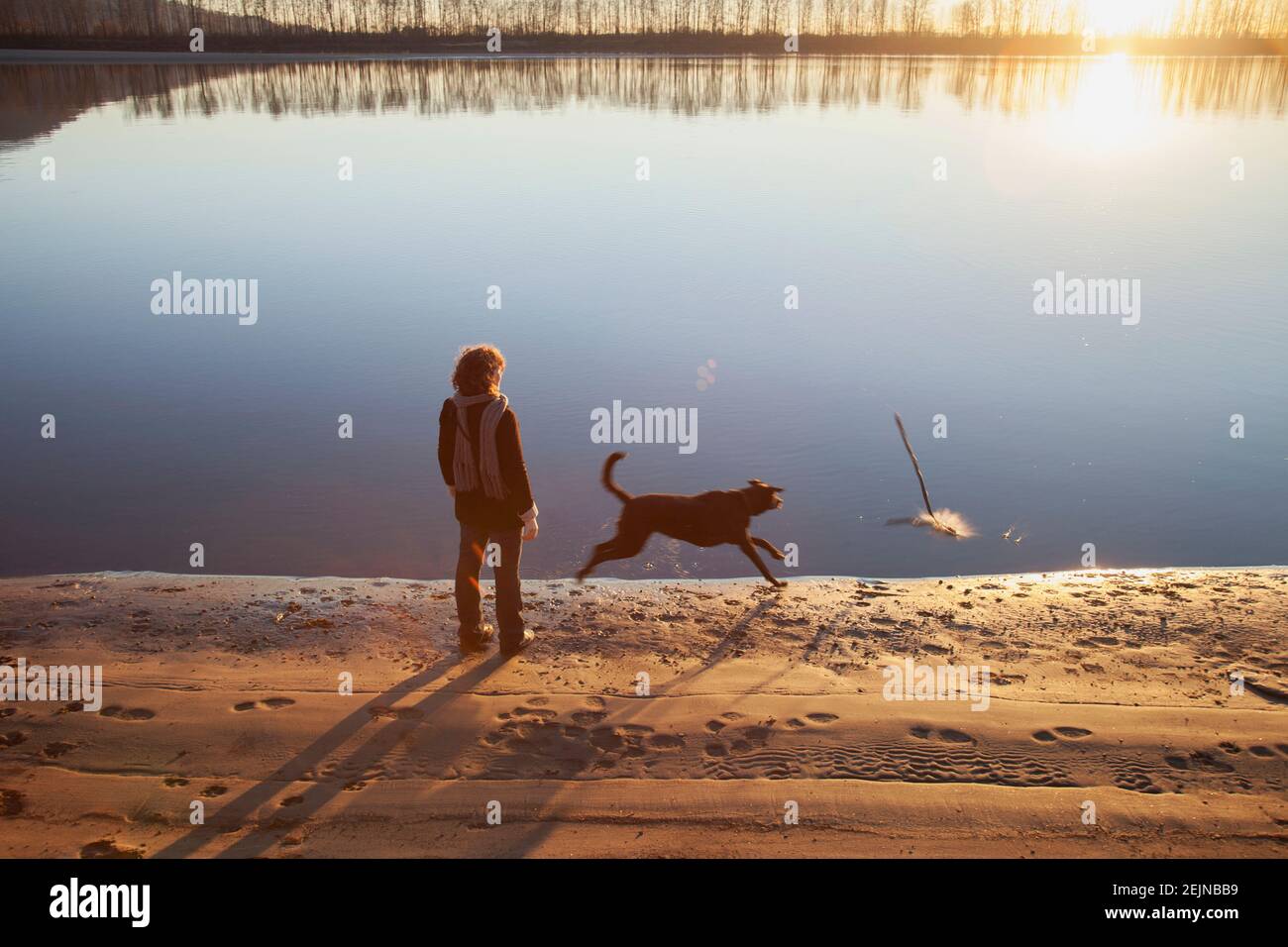 Woman and her dog playing at the river. Stock Photo
