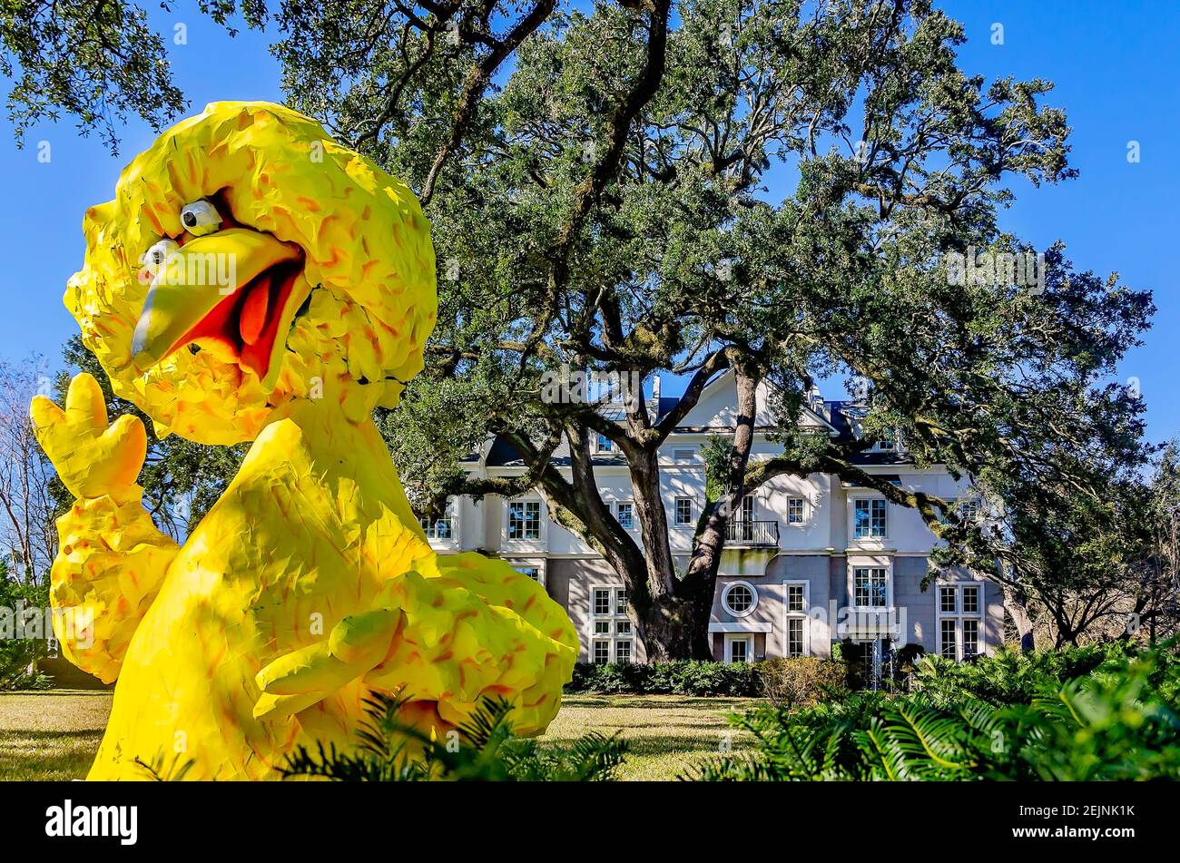 mardi gras sesame street