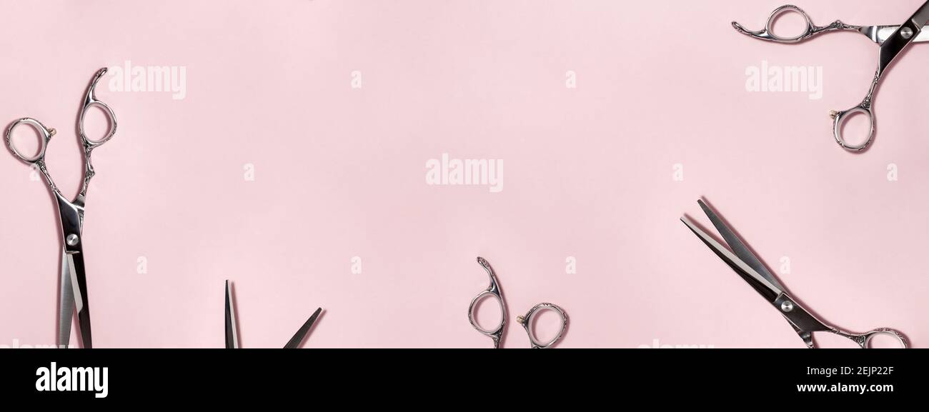 Banner flat lay from above of professional silver hair cutting shears set on pink background. Hairdresser salon equipment and haircut work tools conce Stock Photo