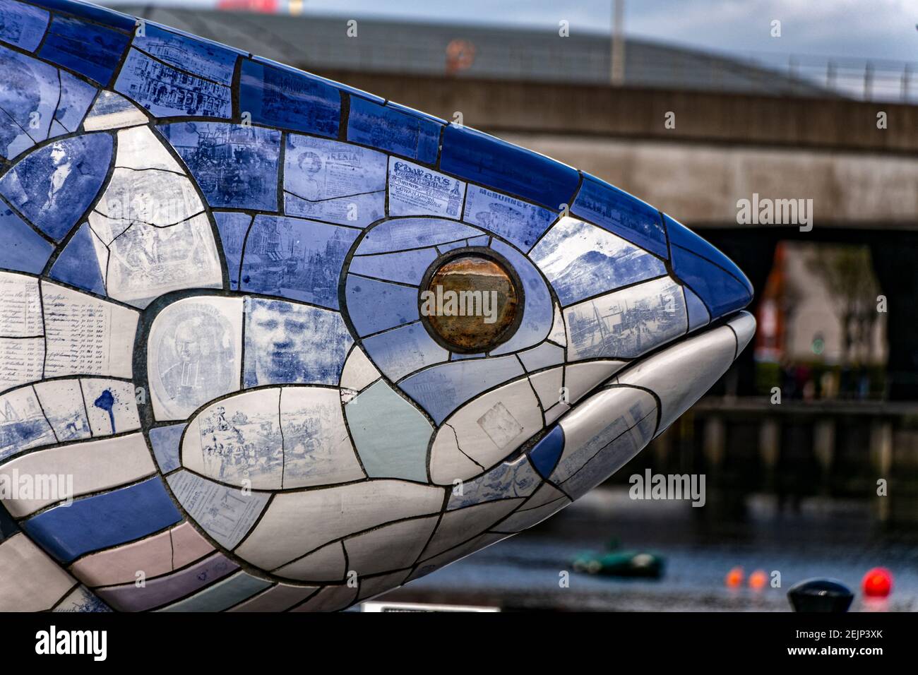 The salmon of knowledge hi-res stock photography and images - Alamy