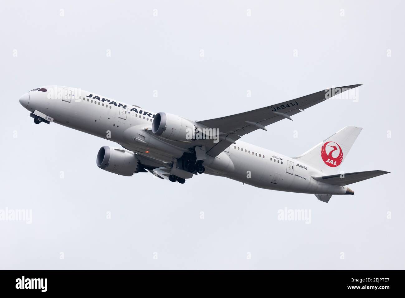 ❶　1/200　JAL　B787-846 Dreamliner JA822J Boeing 787-8 Dreamliner JAL Japan Airlines | Modelsnavigator.com
