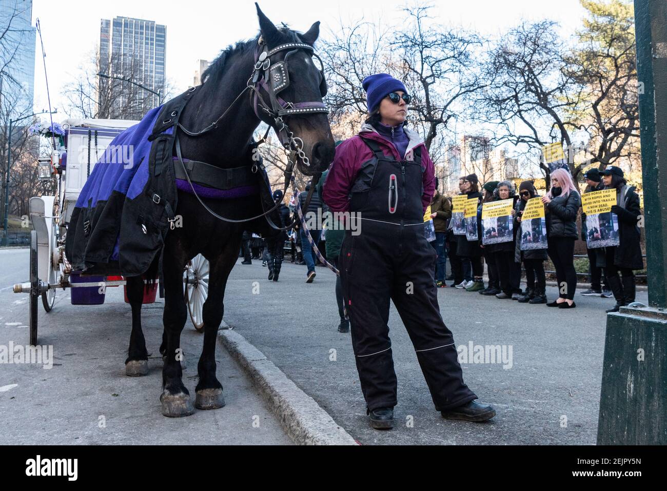 Protesting the violent collapse and death of a carriage horse, animal(01)