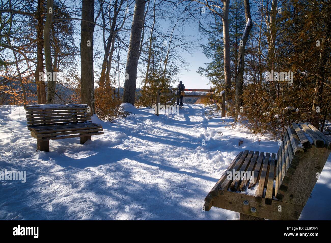 Snow-covered bench at a hiking trail with the silhouette of a man at the winter forest of Canada Stock Photo