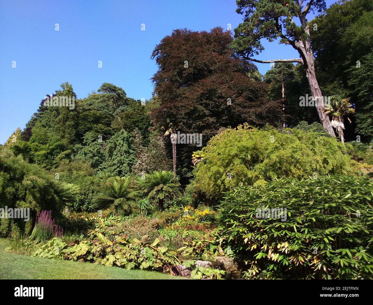 beautiful blanket of colour from flowers, plants and trees Stock Photo