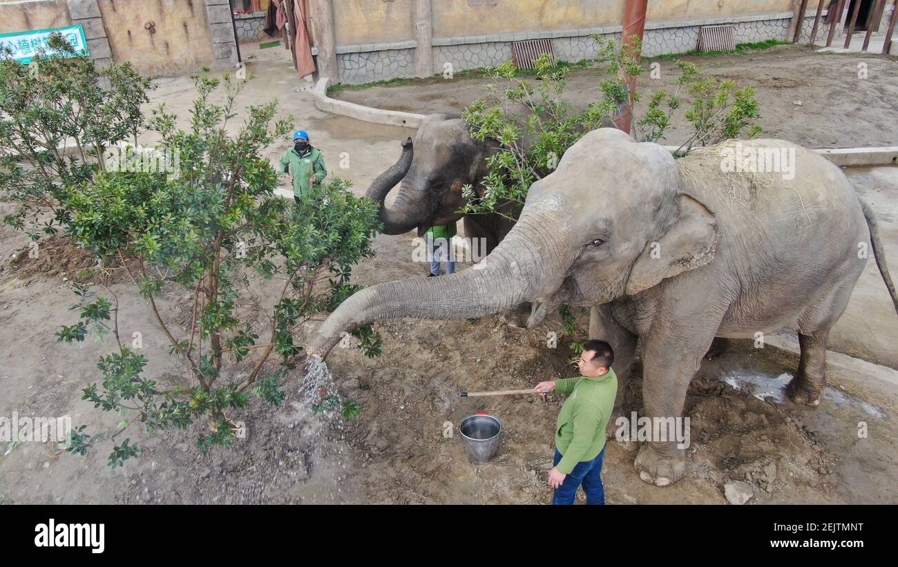 Jiangsu,CHINA-On March 10, 2020, the Nantong forest wildlife park in Jiangsu province held an activity themed Jiangsu,CHINA-On March 10, 2020, the Nantong forest wildlife park in Jiangsu province held an activity themed
