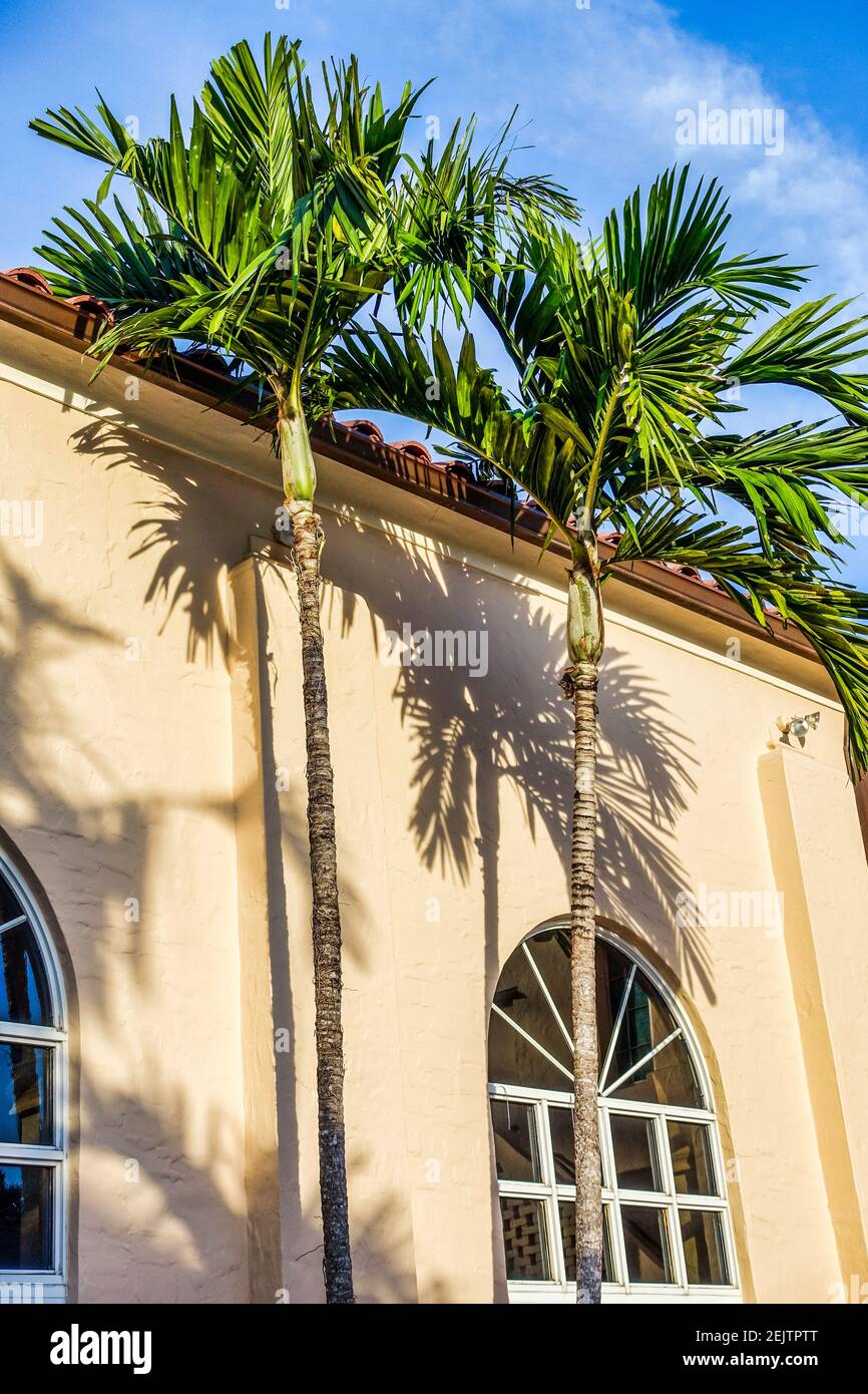 Palm trees cast shadows in the courtyard of the First United Methodist Church of Coral Gables in Florida. Stock Photo
