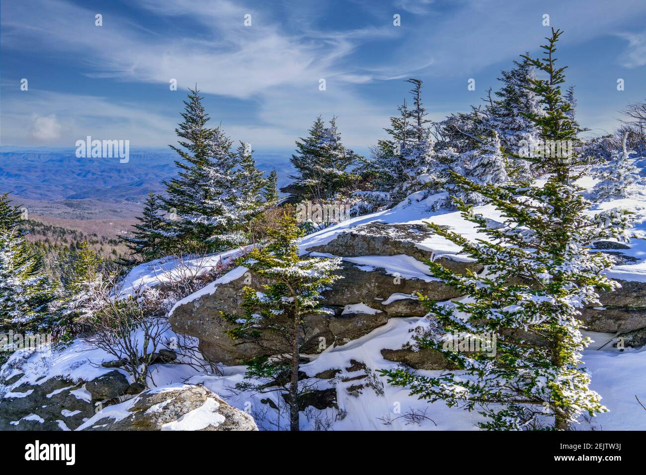 The snow and evergreens covered summit of Grandfather Mountain looking