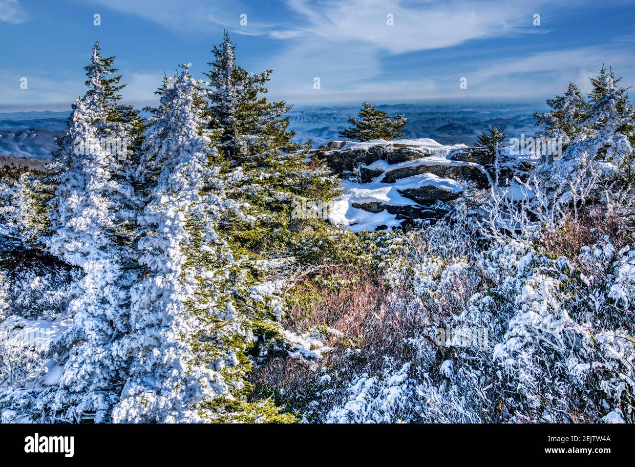 The snow and evergreens covered summit of Grandfather Mountain looking