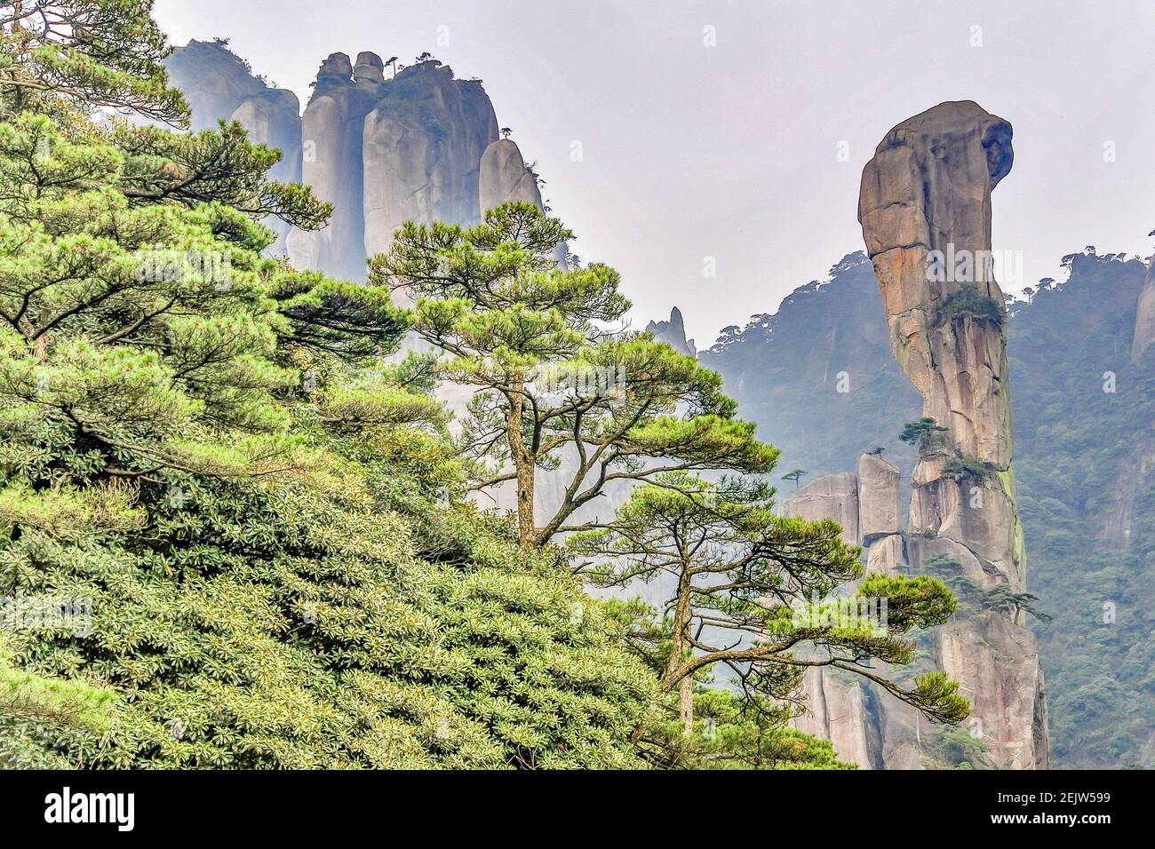 Jiangxi ,CHINA-Sanqing mountain is located at the junction of yushan county  and dexing city, shangrao city, Jiangxi province, China.Because yu jing, yu  xu, yu hua three peaks are very similar to the