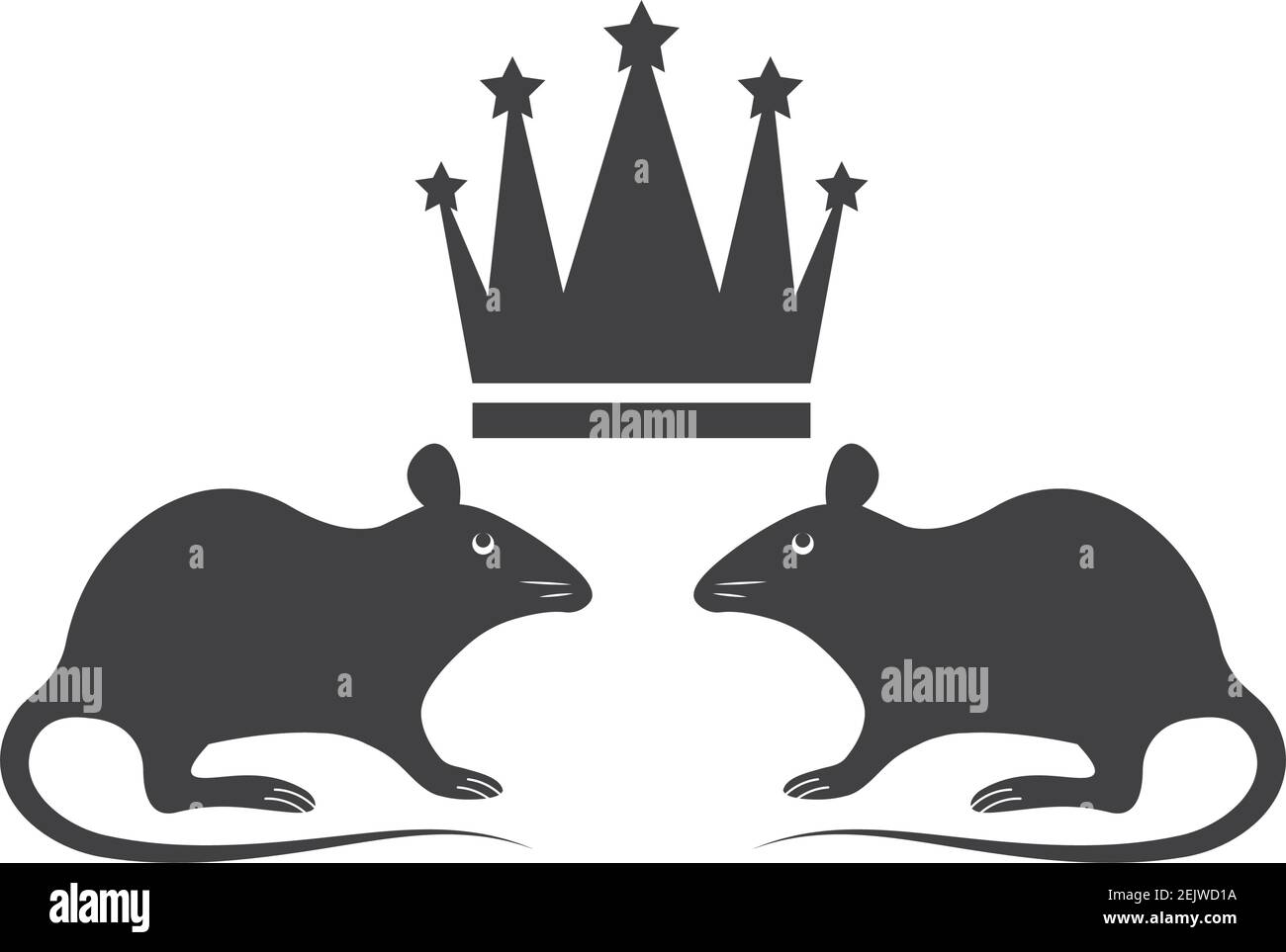 Rat king Black and White Stock Photos & Images - Alamy