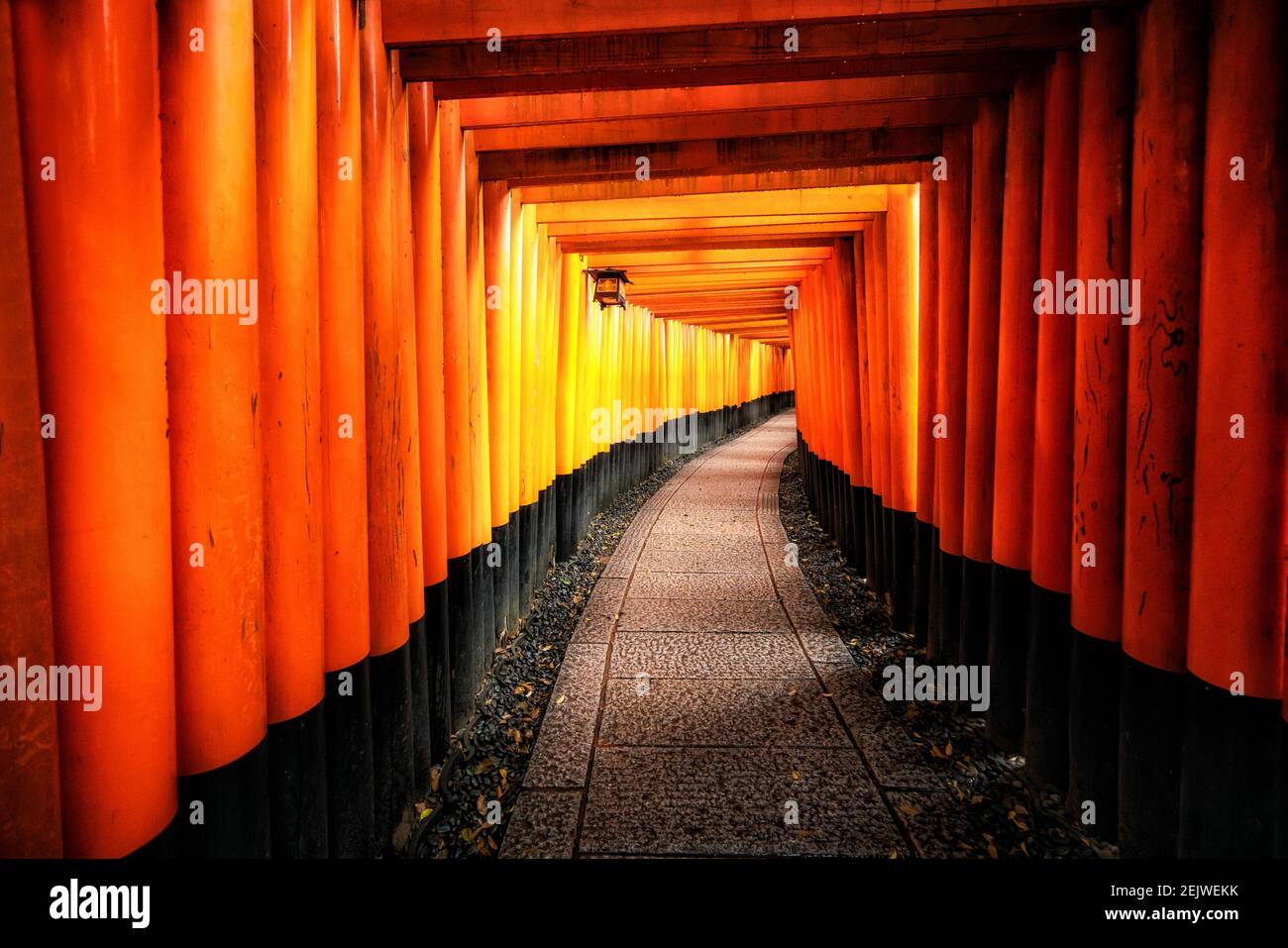 Red Torii gates in Fushimi Inari Shrine in Kyoto, Japan. It is the