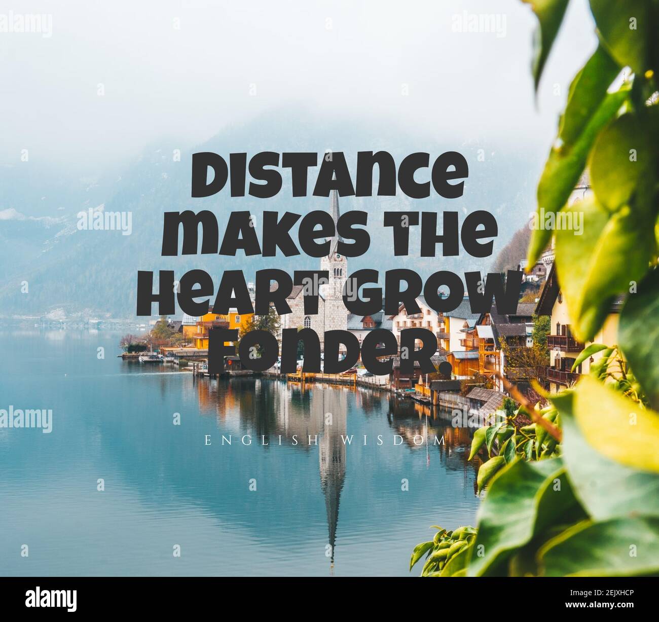 Quote, inspirational text. Distance makes the heart grow fonder Stock Photo Alamy