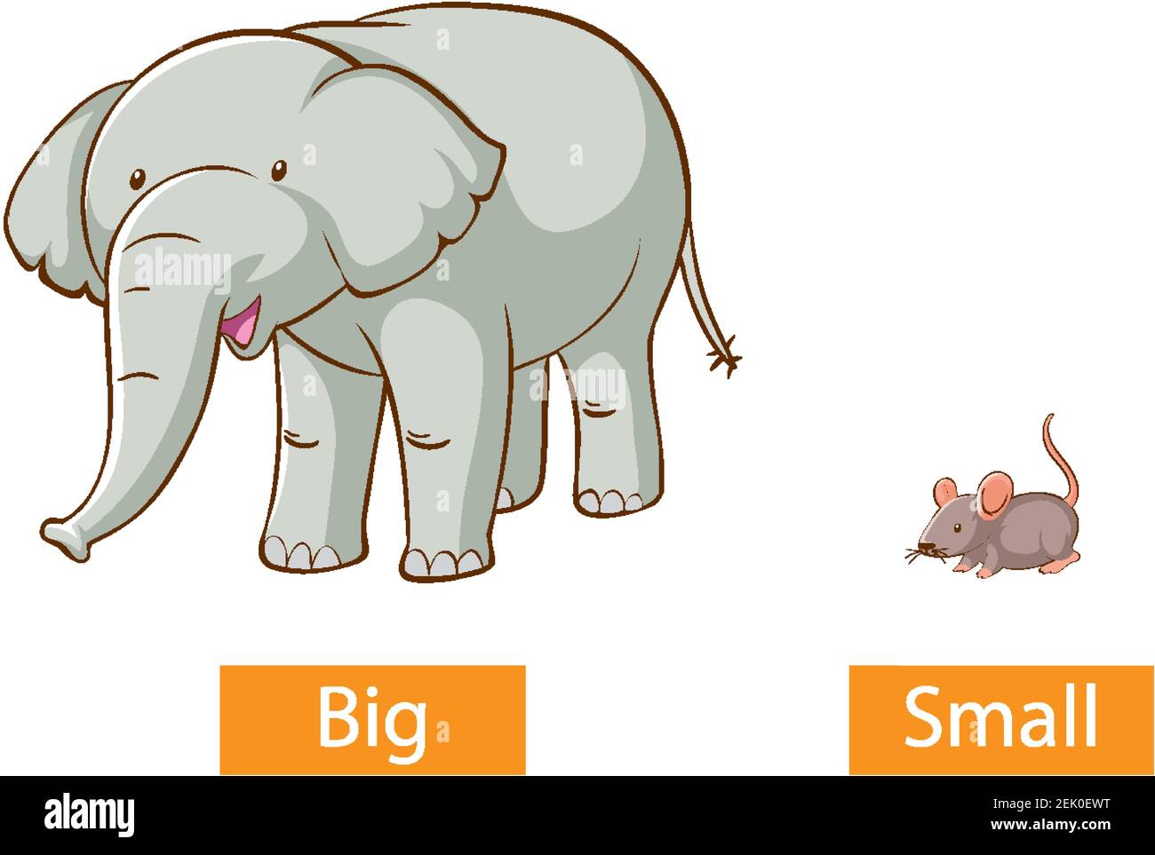 Opposite wordcard for big and small illustration Stock Photo - Alamy