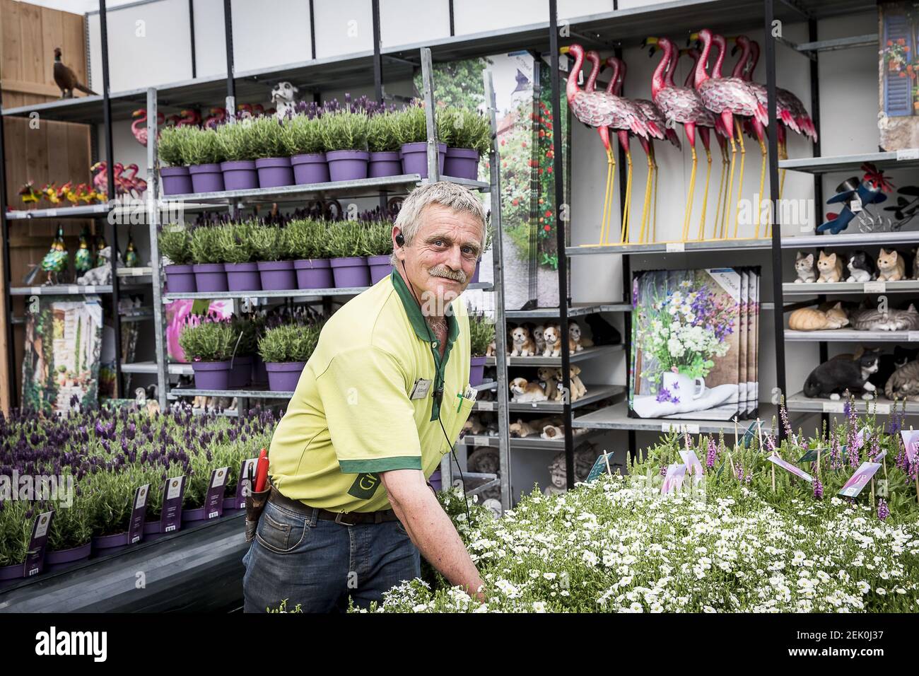 TILBURG - 23-04-2020, Garden centre Groenrijk, interior. Flowers and  plants. Tuincentrum, tuincentra Groenrijk, interieur. bloemen planten.  (Photo by Pro Shots/Sipa USA Stock Photo - Alamy