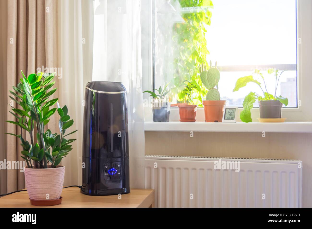 https://c8.alamy.com/comp/2EK1R7H/indoor-ornamental-and-deciduous-plants-on-the-windowsill-and-table-in-the-apartment-with-a-steam-humidifier-and-thermometer-to-measure-air-temperature-2EK1R7H.jpg