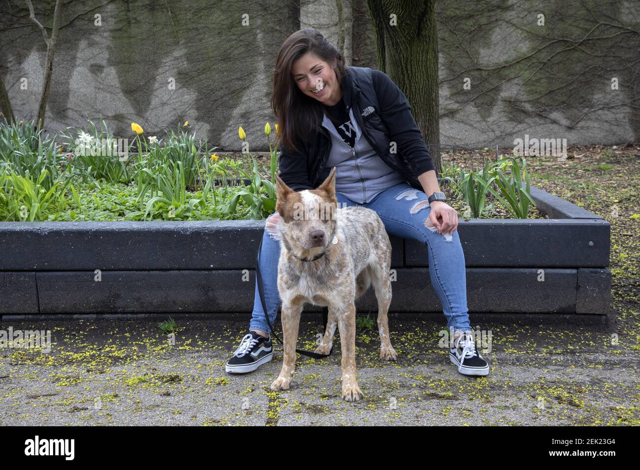 Nikki Hicks sits with her foster dog Rip near her home Thursday, April 30,  2020, in the Lakeview neighborhood of Chicago. Hicks is a volunteer with  PAWS who lost her bartending job