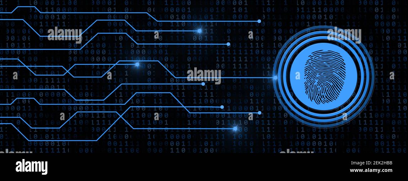 Fingerprint logo with information connecting lines on binary code