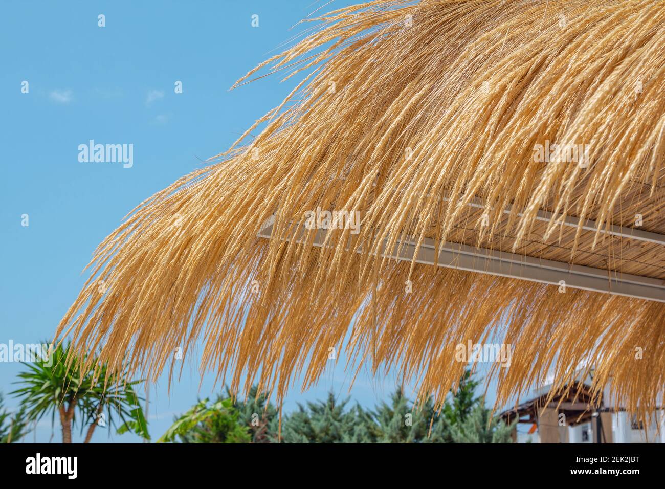 Part view of straw umbrella close up over blue sky. Summer resort. Stock Photo