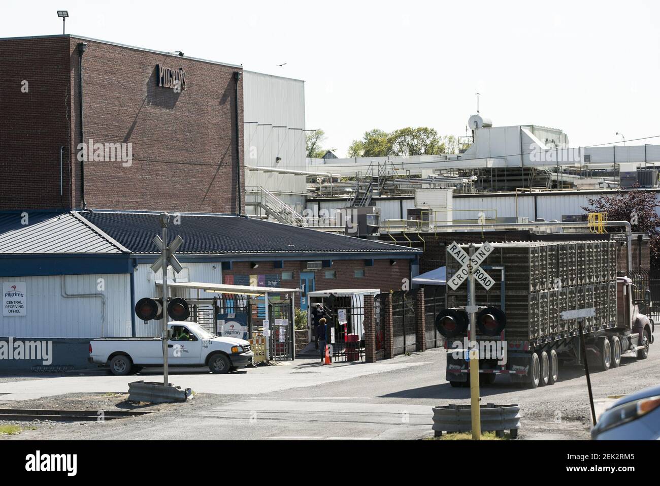 A logo sign outside of a Pilgrim's Pride poultry processing plant in