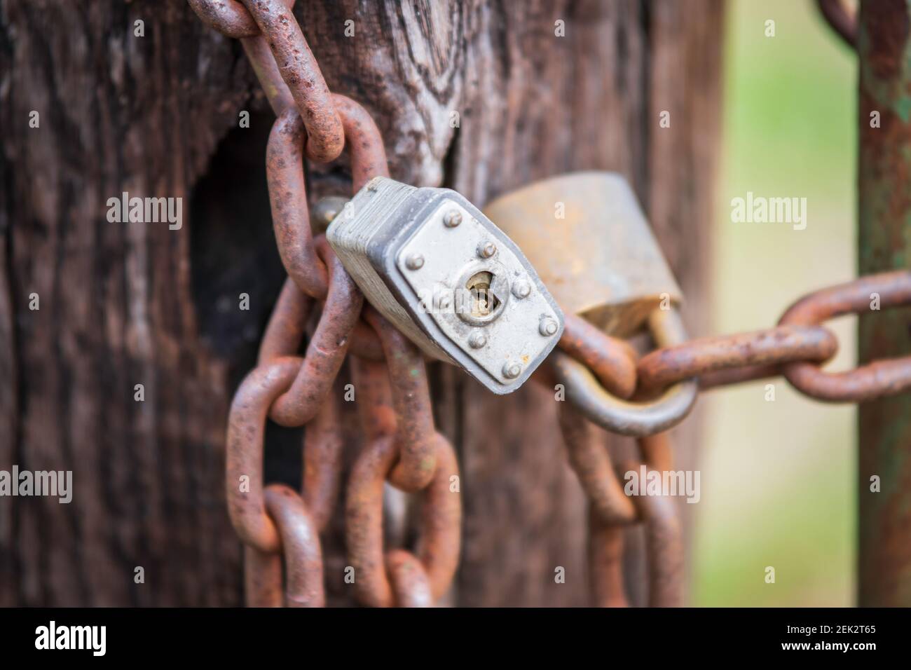 Cattle gate hi-res stock photography and images - Alamy