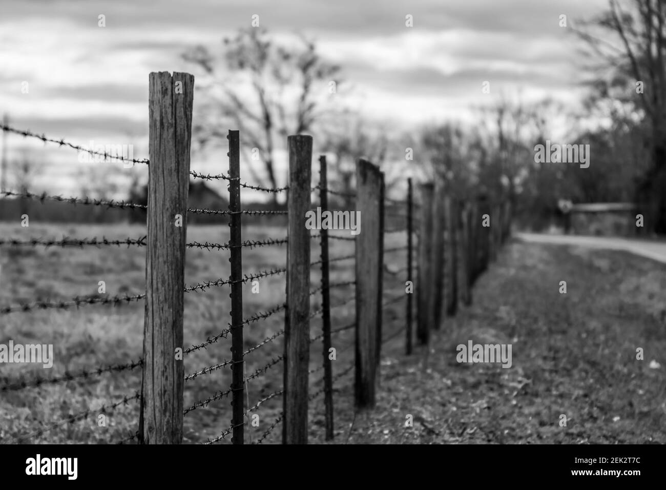 Black and white background image of a barbed wire fence with shallow ...