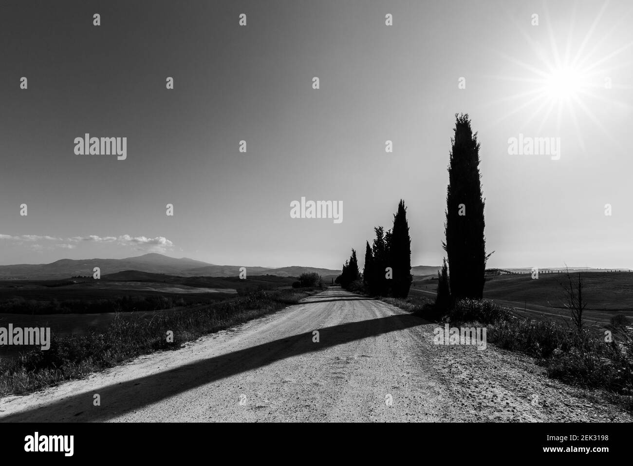 Road in Tuscany (Italy) country, with cypresses Stock Photo