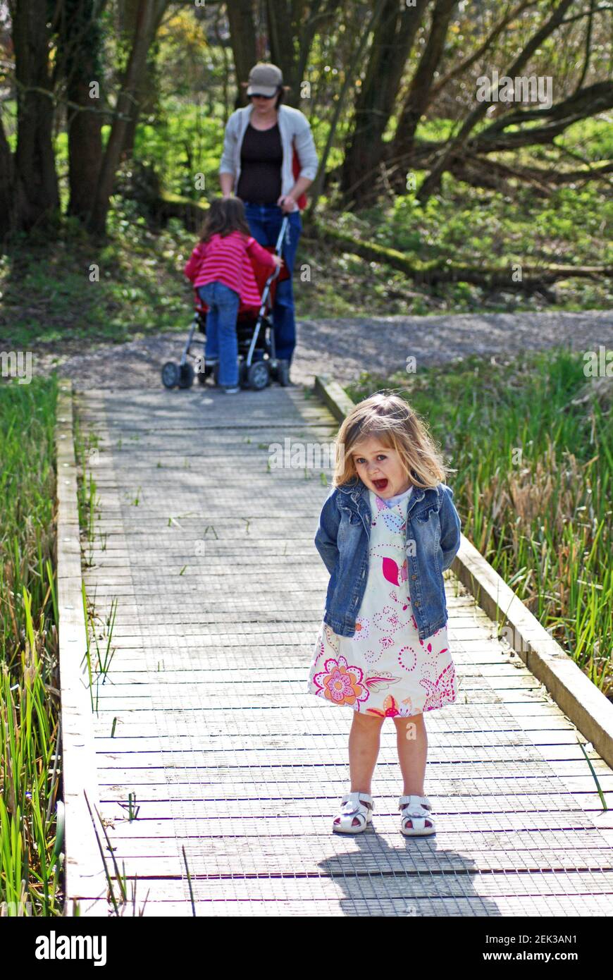 A little girl stands on the boardwalk in Winnall Moors Wildlife Reserve, Itchen Valley, Winchester, Hampshire, England, UK Stock Photo