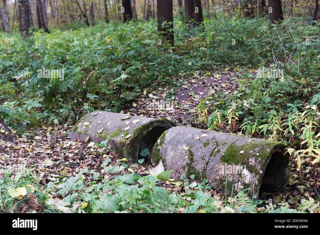 Ruin of concrete pipe culvert on path in park Stock Photo