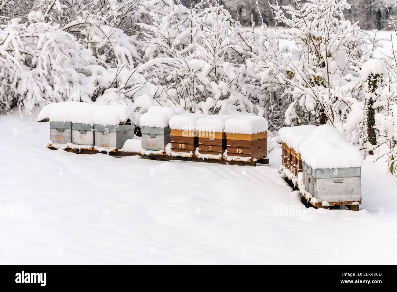 Beehives france hi-res stock photography and images - Alamy