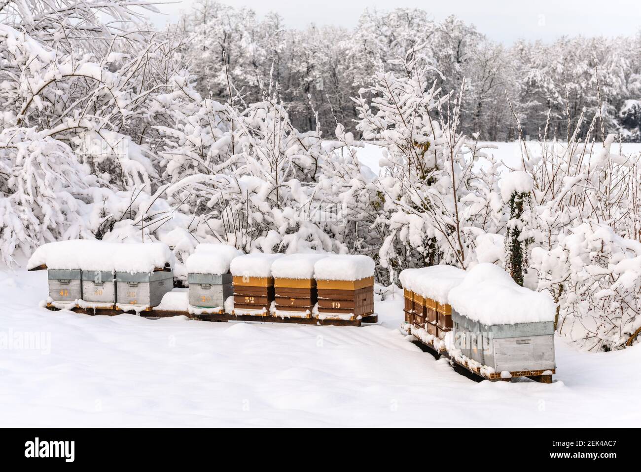 Beehives france hi-res stock photography and images - Alamy