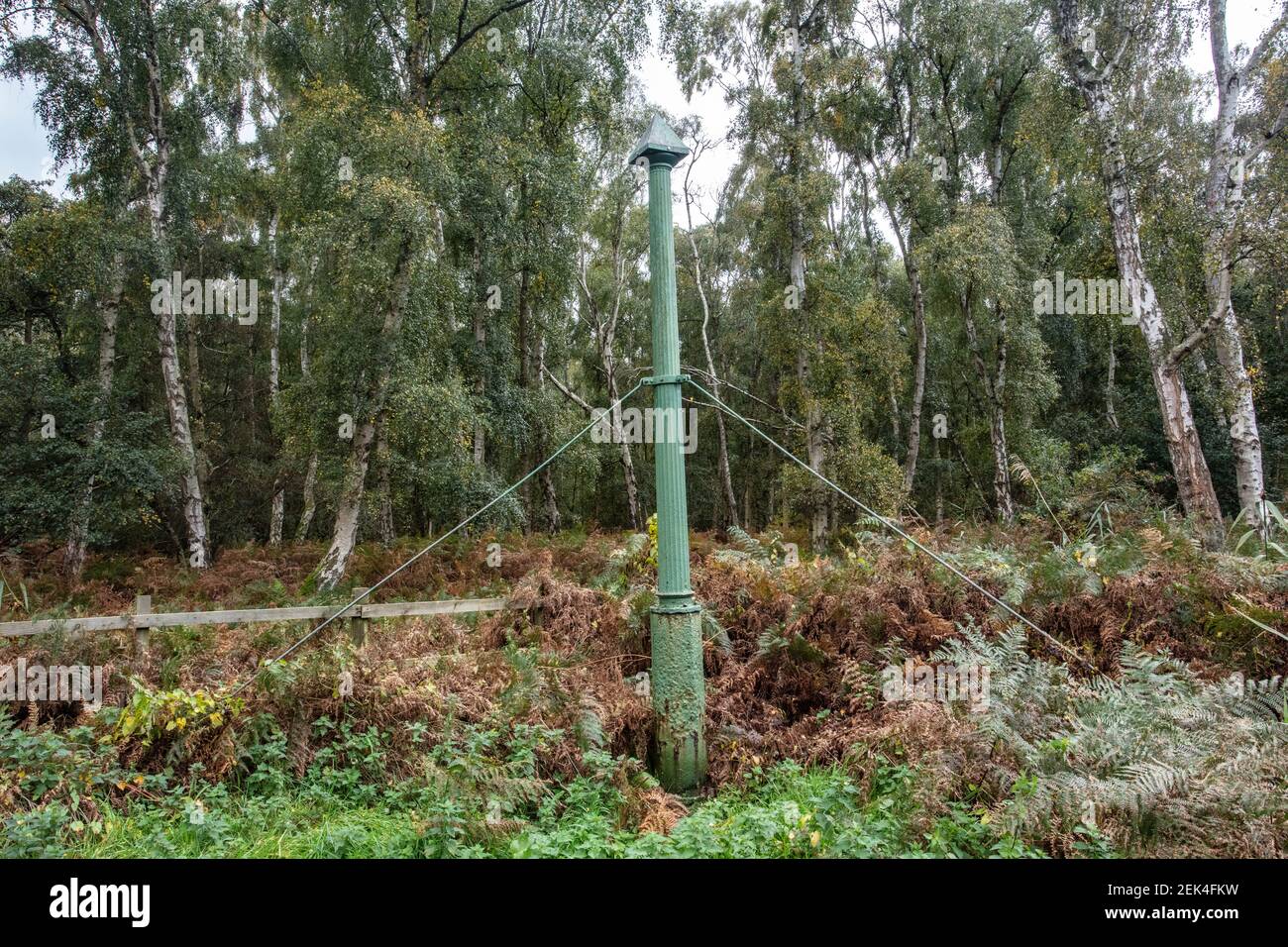 Holme Fen where two posts record the shrinkage of the land surface due to drainage Stock Photo
