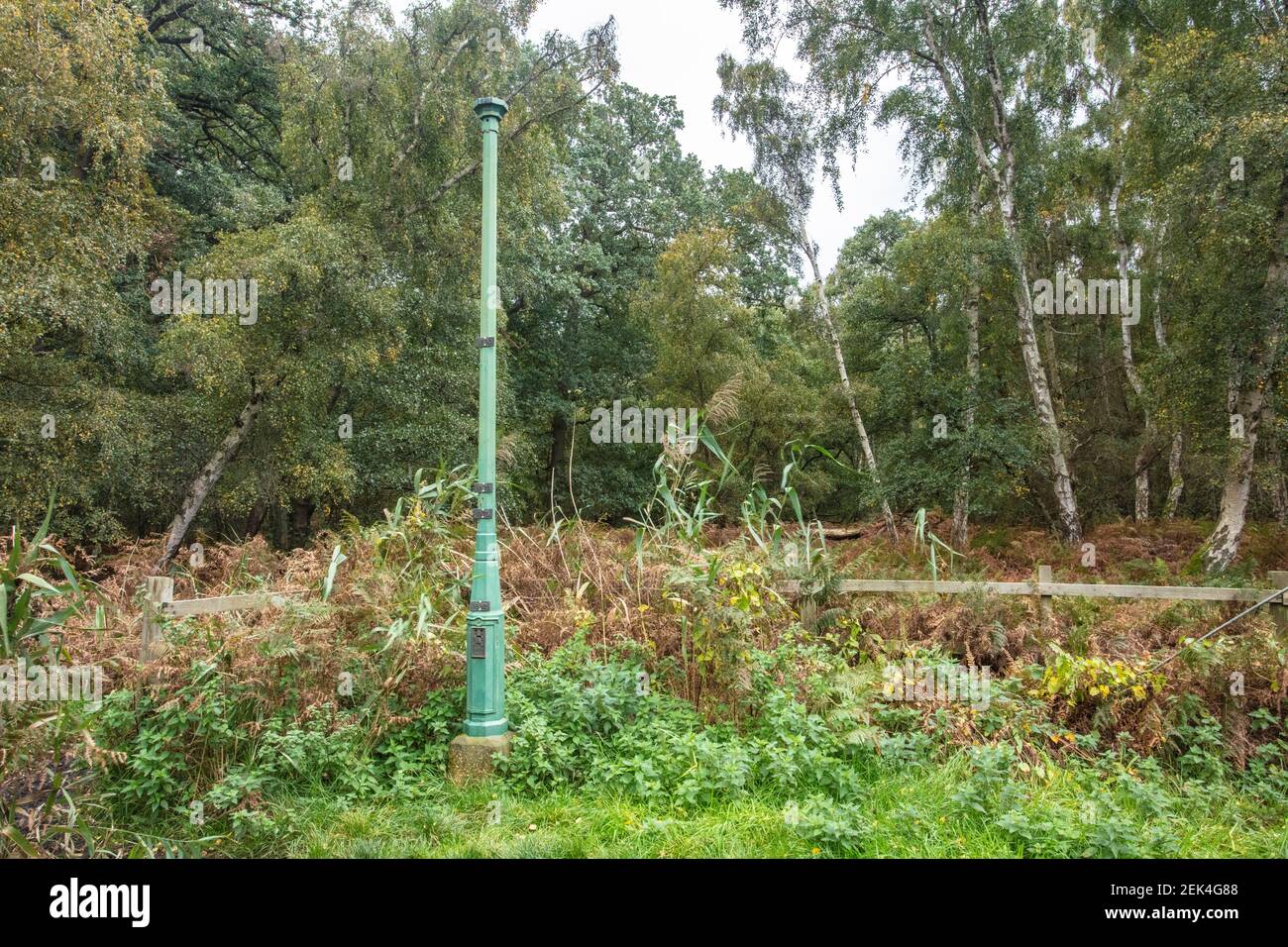 Holme Fen where two posts record the shrinkage of the land surface due to drainage Stock Photo