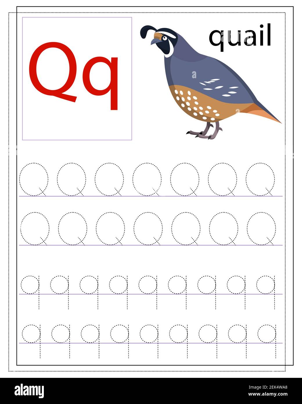 a worksheet for children with the letter q to learn the english alphabet stock vector image art alamy