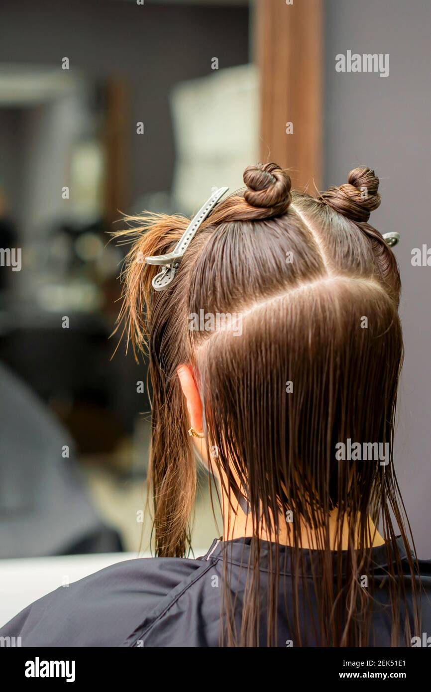 Back view of young brunette woman with split hair in sections in a hair ...