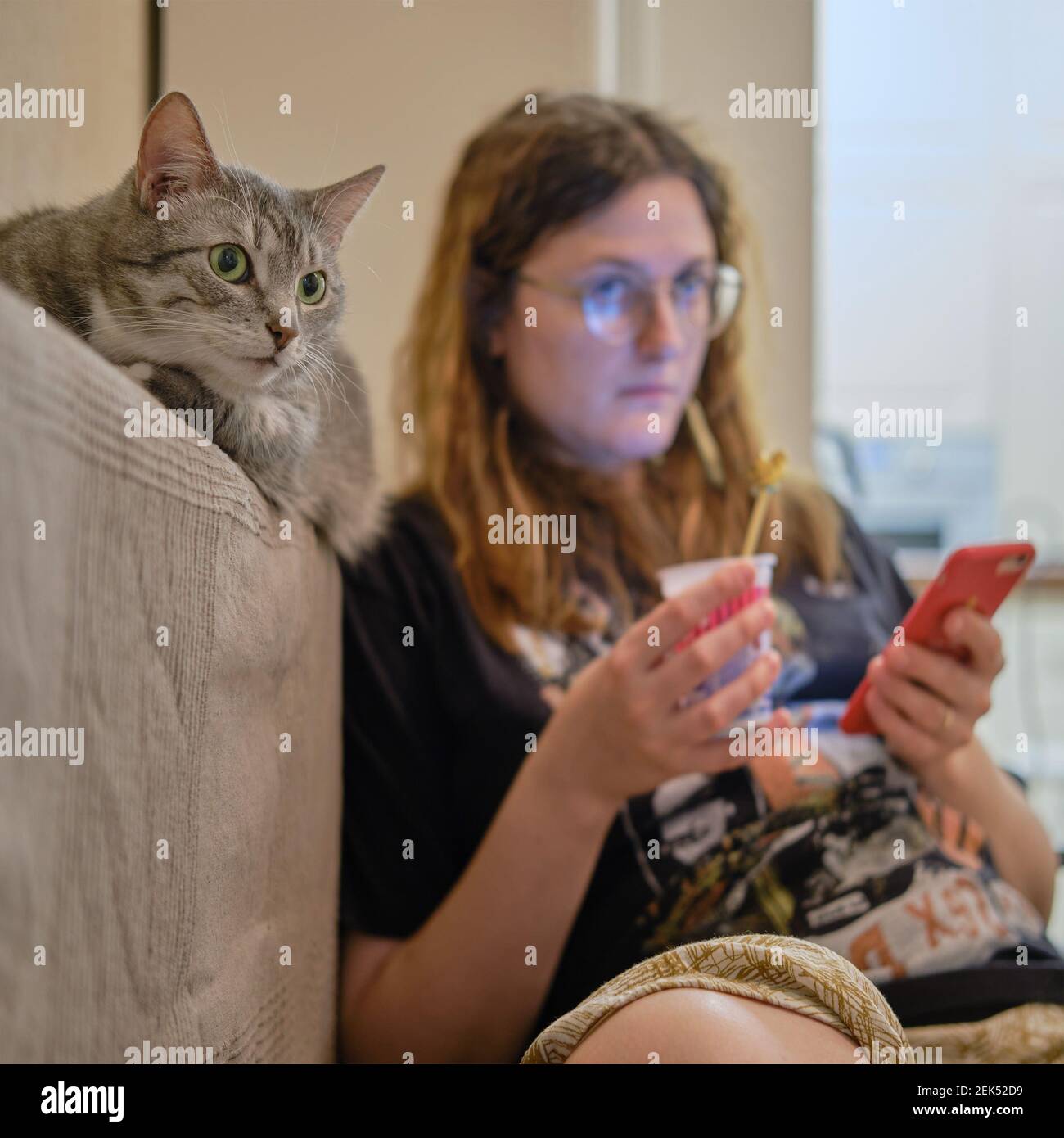 Grey cat watching TV on the sofa next to a woman, close-up portrait Stock Photo