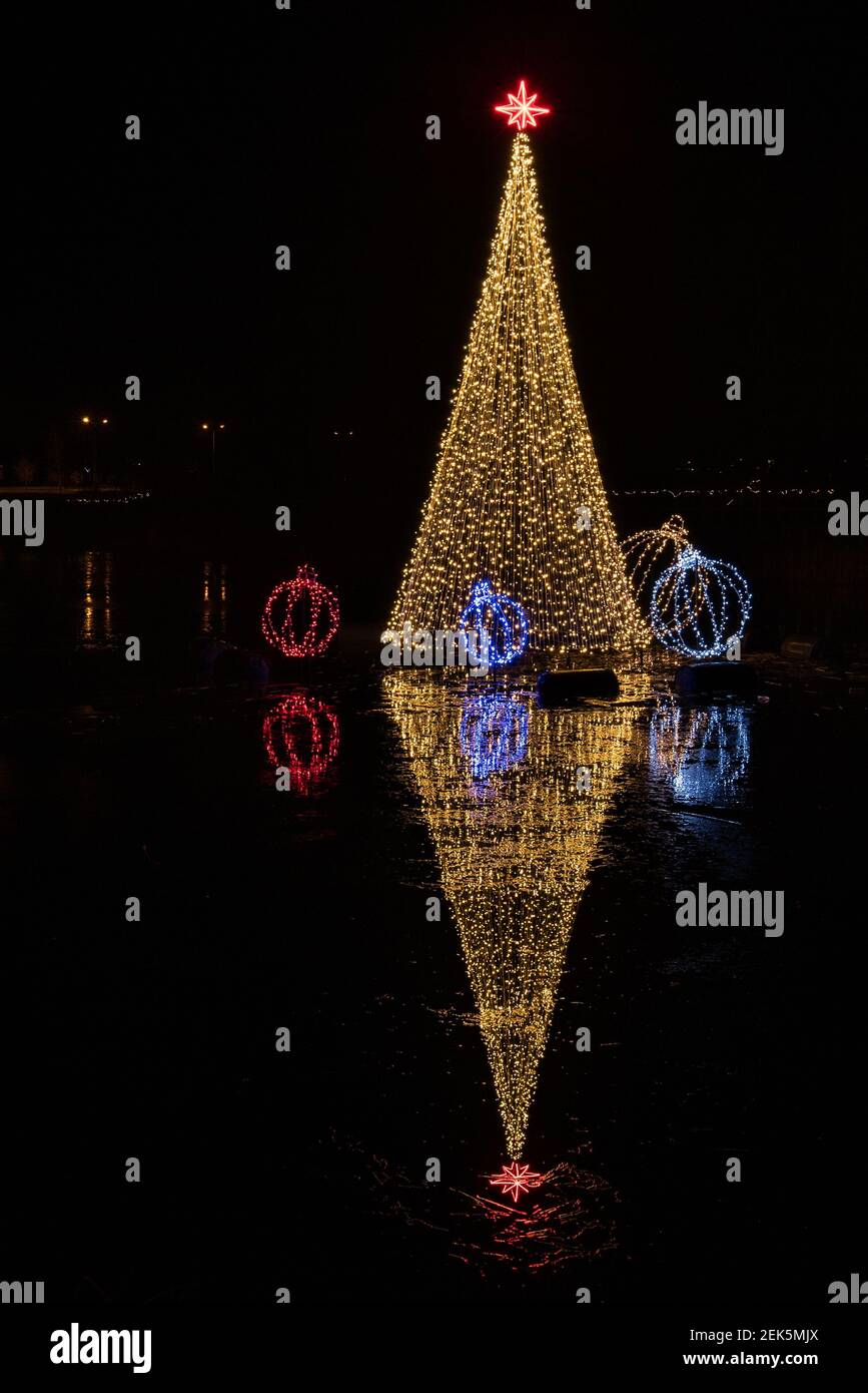 Christmas tree and its reflection in a pond at night, Kuldiga, Latvia