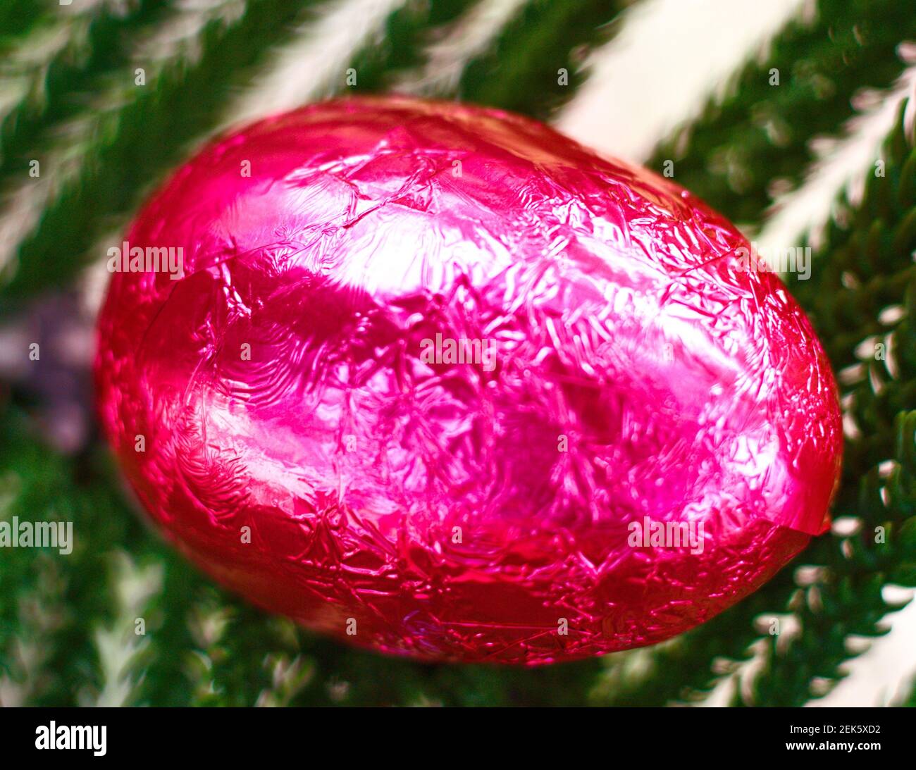 chocolate eggs in colors hidden in the garden grass to celebrate the Easter Stock Photo