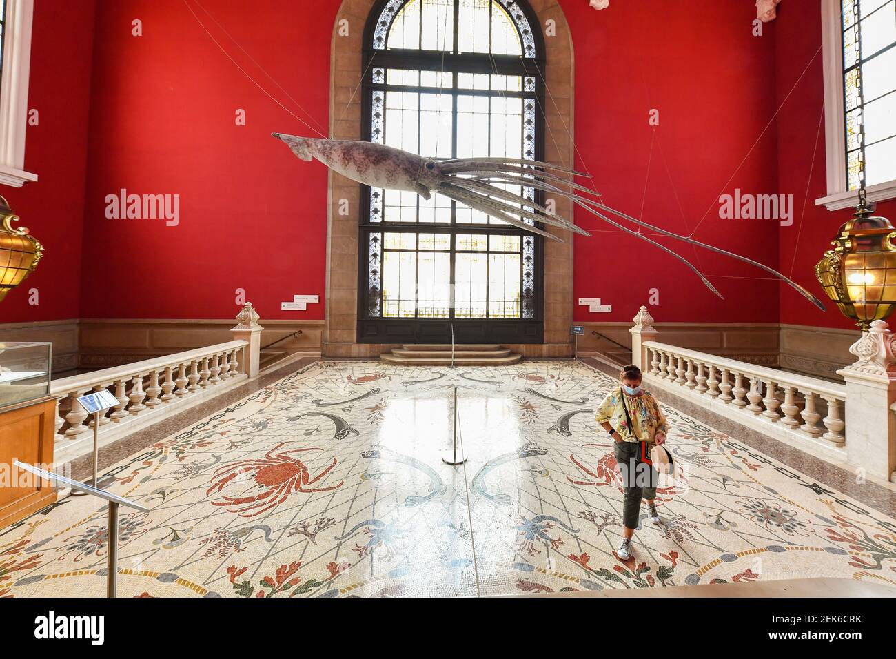 Le Musee oceanographique de Monaco reopens under Covid-19 safety ...