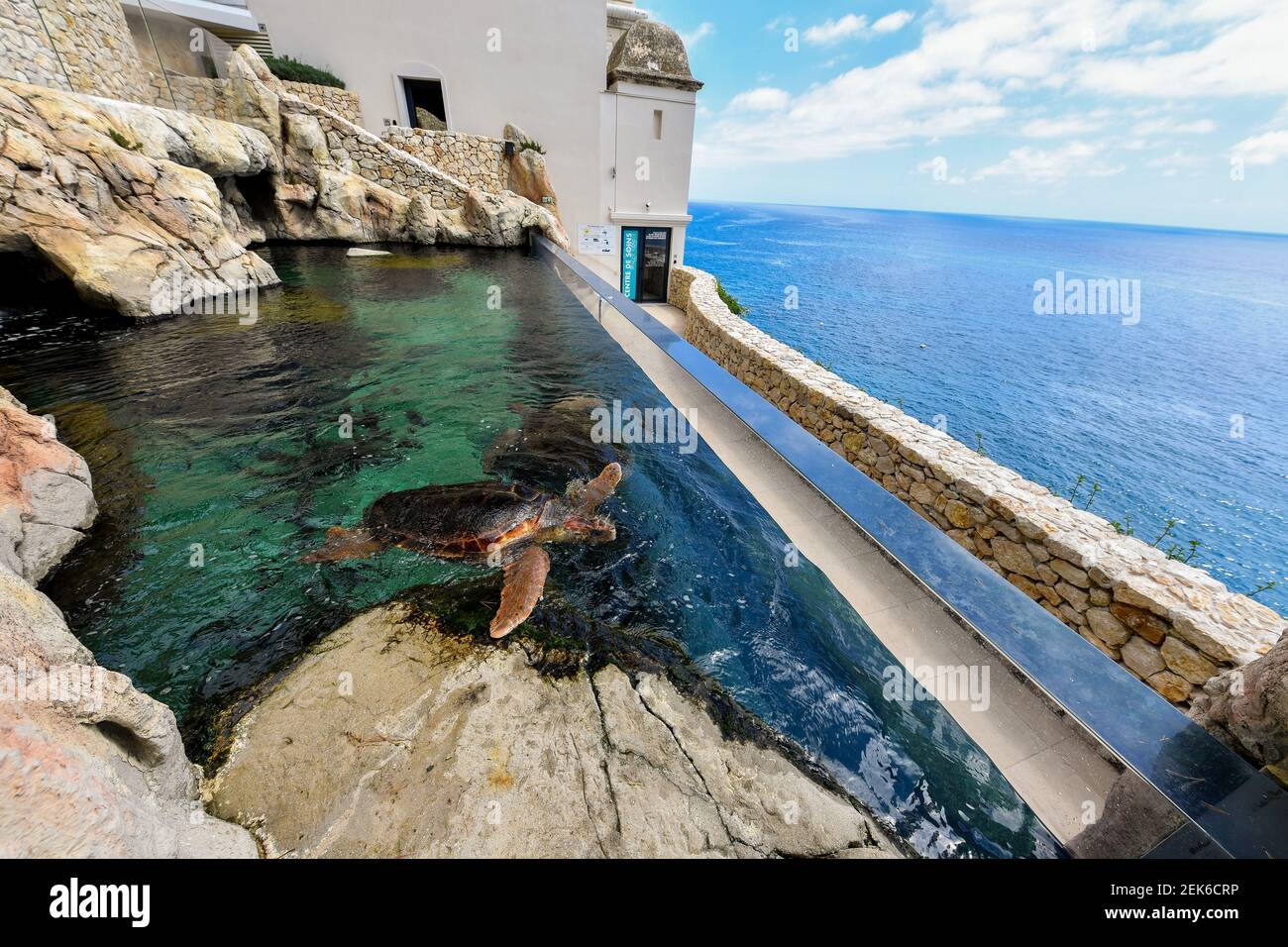Le Musee oceanographique de Monaco reopens under Covid-19 safety ...