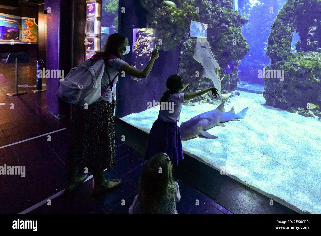 Le Musee oceanographique de Monaco reopens under Covid-19 safety ...