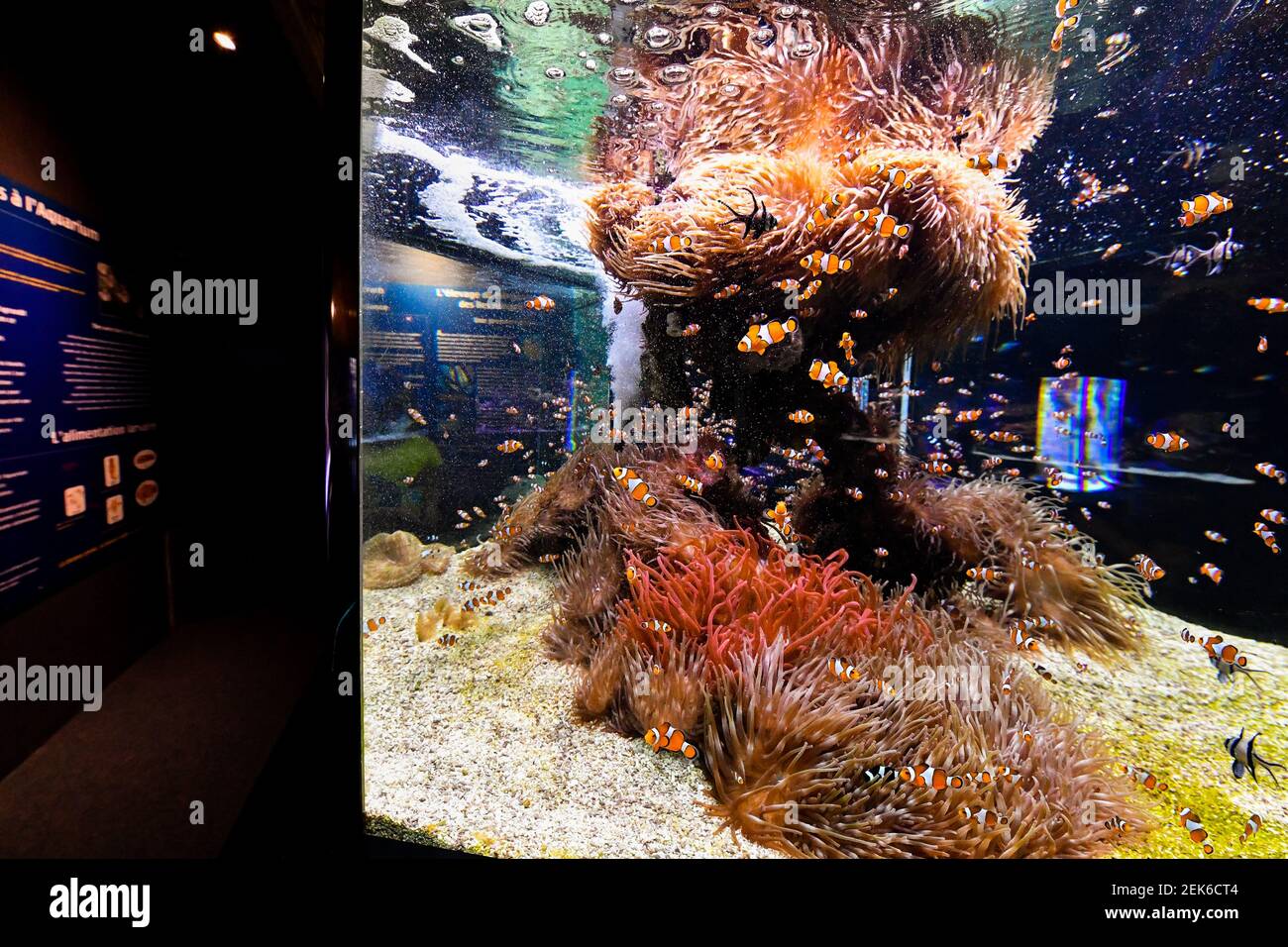 Le Musee oceanographique de Monaco reopens under Covid-19 safety ...