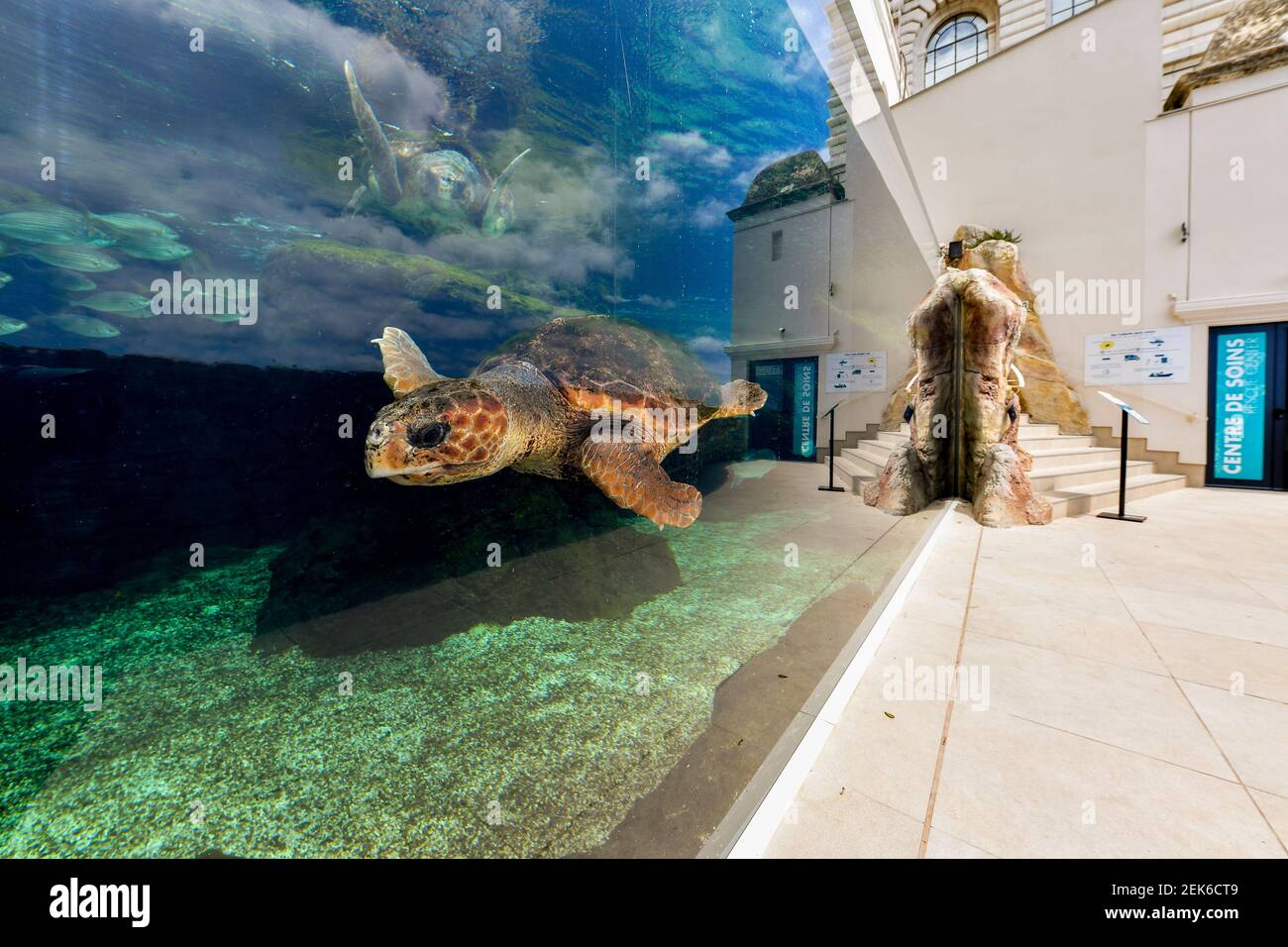 Le Musee oceanographique de Monaco reopens under Covid-19 safety ...