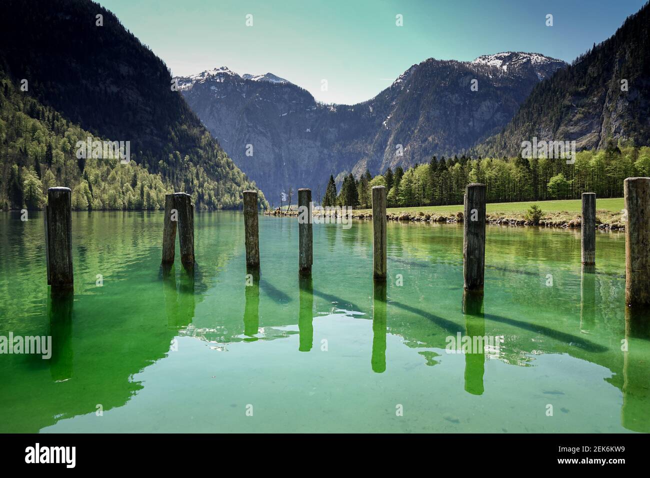 Dolphins In Shallow Water High Resolution Stock Photography And Images Alamy