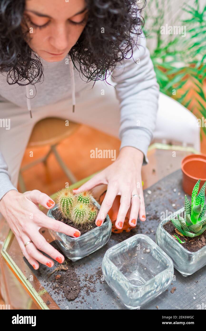 young woman sitting in her backyard while transplanting mini cacti into new pots. gardening, decoration and plant care concept Stock Photo