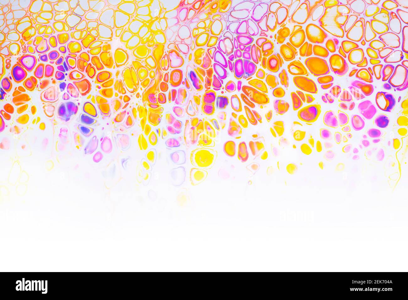 Colorful abstract acrylic painting. Free flowing cells on white. Pouring. Stock Photo