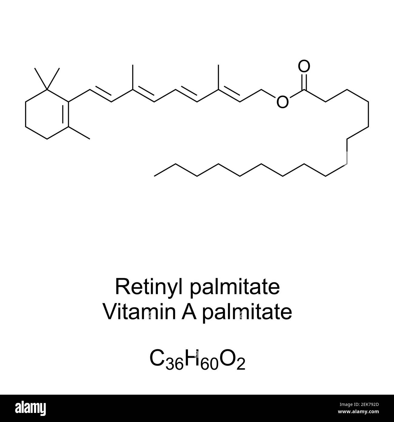 Retinyl palmitate, or vitamin A palmitate, chemical formula and skeletal structure. Most abundant form of vitamin A storage and vitamin supplement. Stock Photo