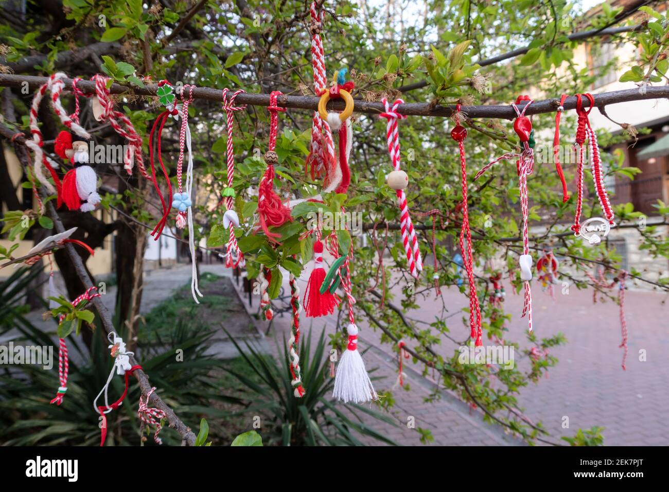 Red and white Martenitsa or Martisor bracelets, hanging on the branches of the blooming tree - Bulgarian and Romanian spring tradition Stock Photo