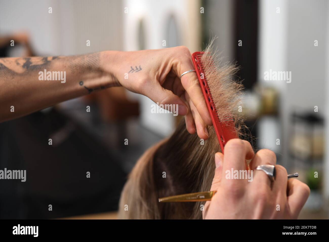 Munich, Germany. 21st Feb, 2021. Hair is cut with comb and scissors in